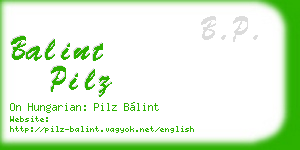balint pilz business card